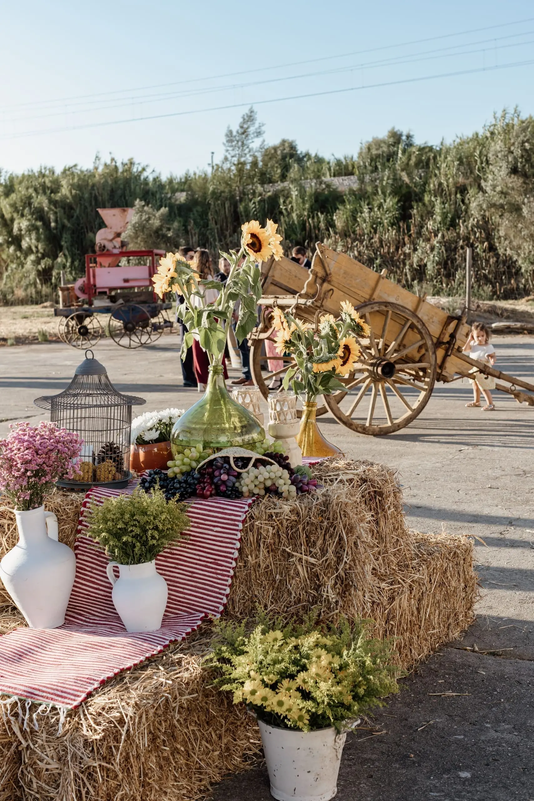 Wedding celebration in golden light