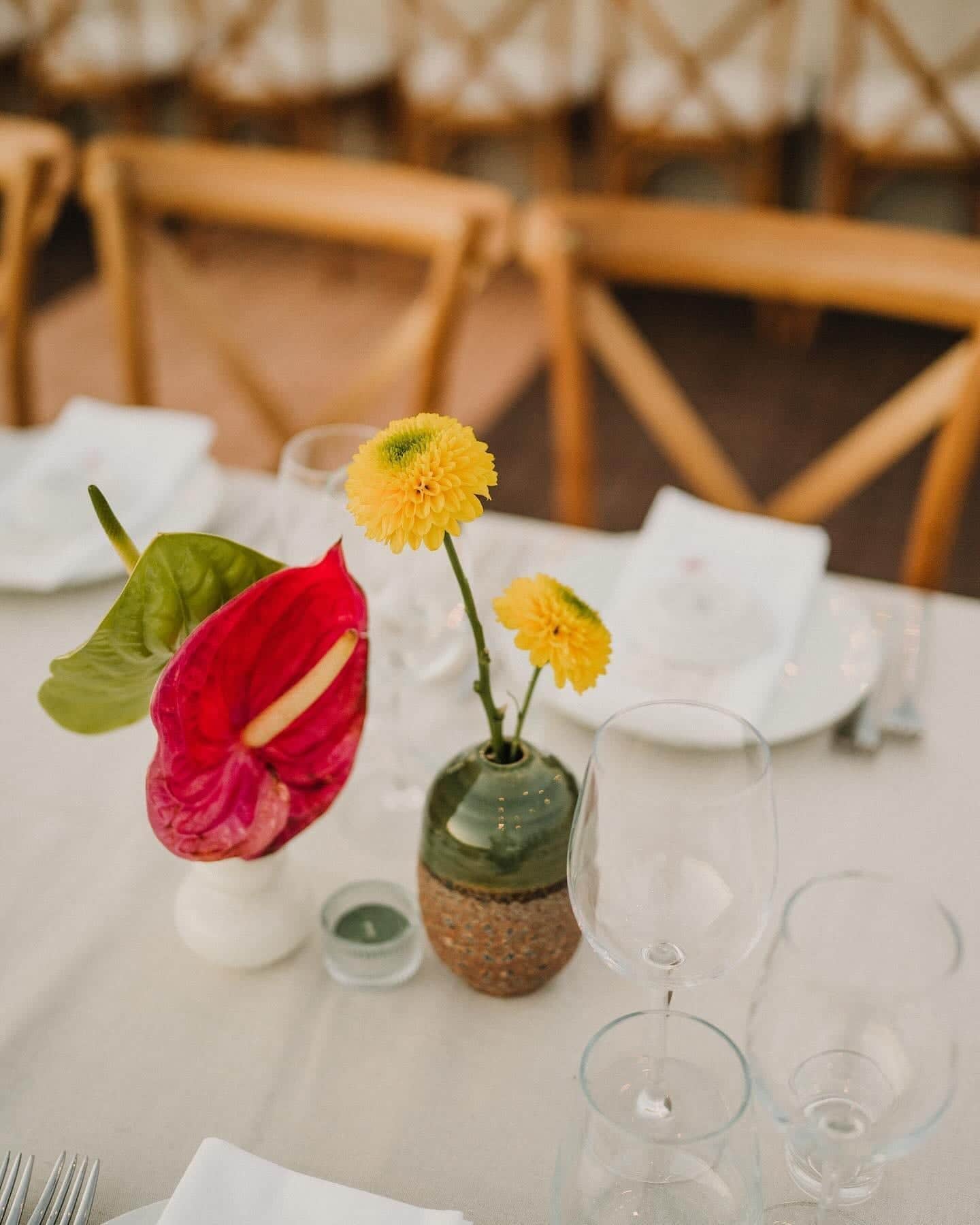 Event organised by Líquen Events in Portugal